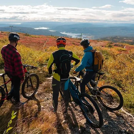 Lodger Spacious With Sauna, Centre *