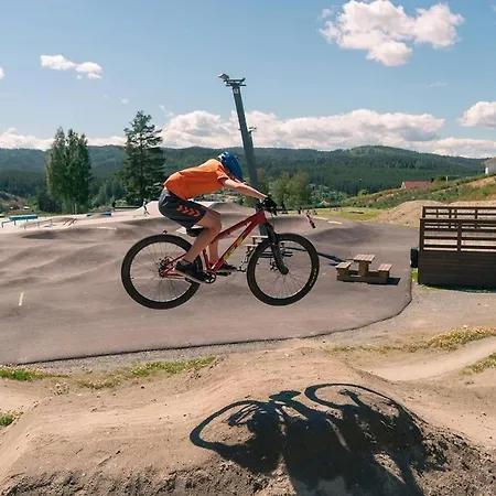 Spacious With Sauna, Centre Lodger *