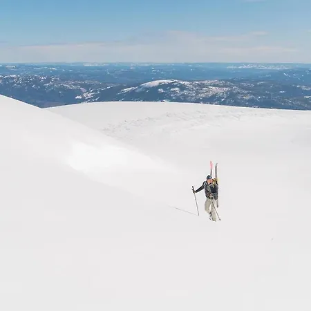 Lodger Spacious With Sauna, Centre *