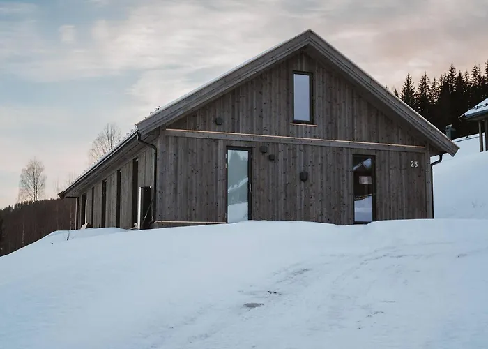 Spacious With Sauna, Centre Domek letniskowy