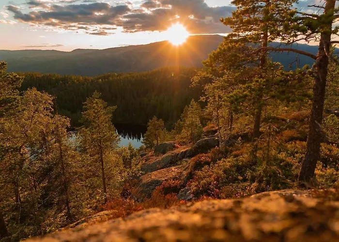 Spacious With Sauna, Centre