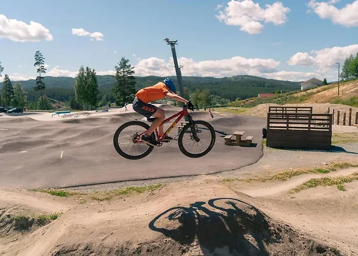 Spacious With Sauna, Centre Domek letniskowy *