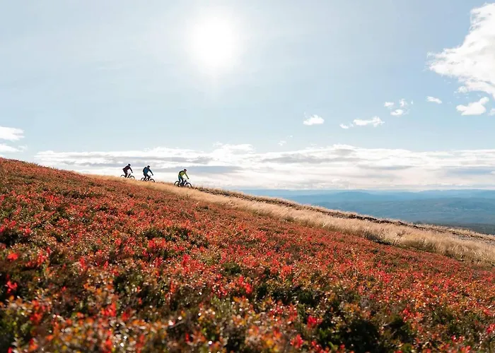 Spacious With Sauna, Centre Domek letniskowy
