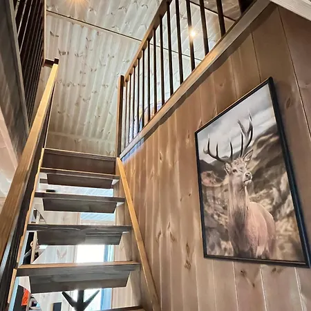 Lodge Spacious With Sauna, Centre *