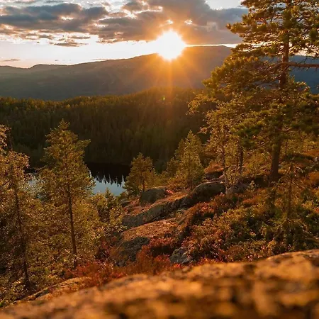 Spacious With Sauna, Centre