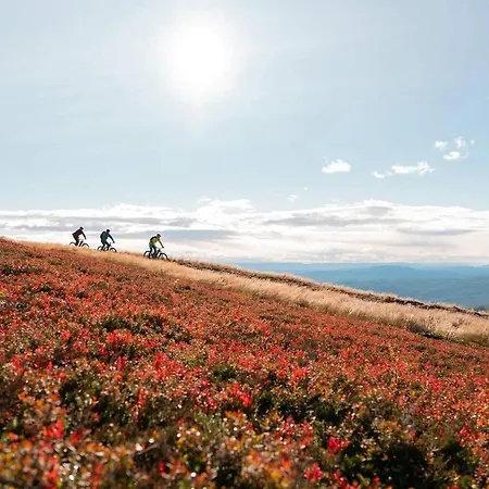Spacious With Sauna, Centre Lodge